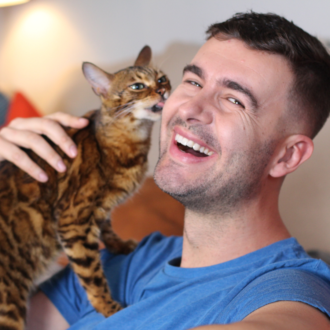 COMFORT MEETS FELINE JOY