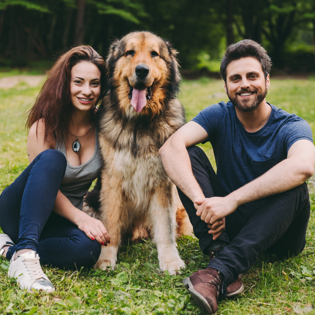 HAPPY TAILS START HERE