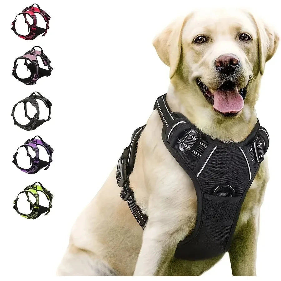 Dog Collar & Harness Leash Set – Leather Pet Vest for Small & Medium Dogs
