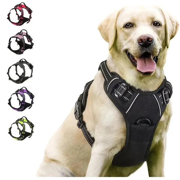 Dog Collar & Harness Leash Set – Leather Pet Vest for Small & Medium Dogs