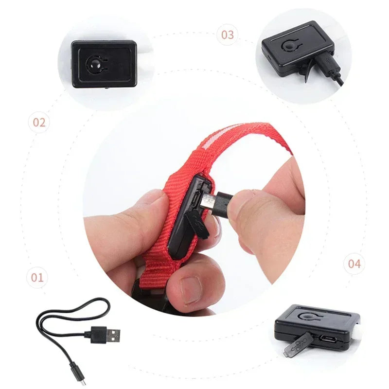 Rechargeable LED Dog Collar – Adjustable Night Safety Light for Small Dogs