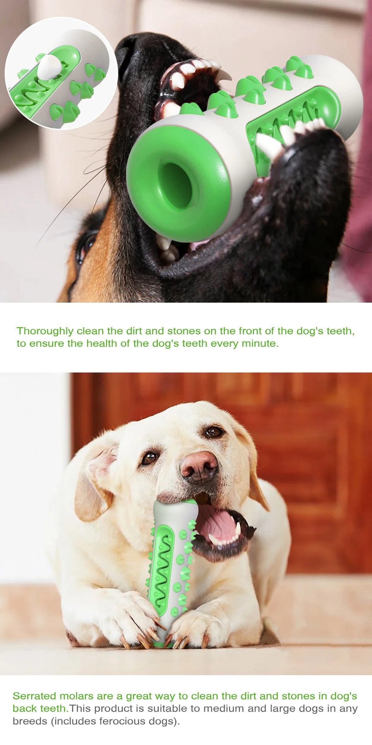 Dog Teething Toothbrush Chew Toy – Molar Cleaning Stick