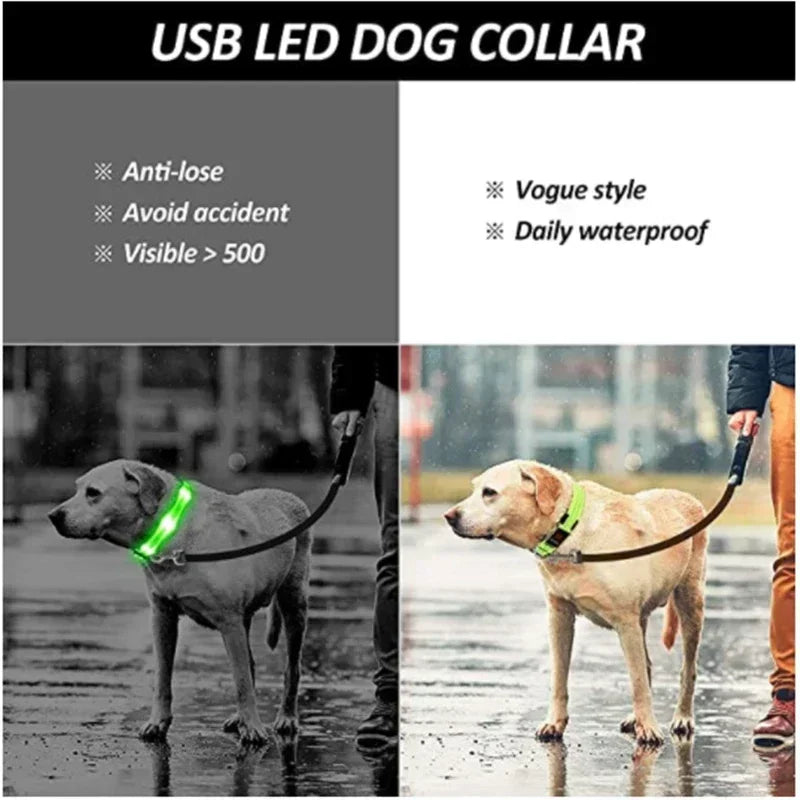 Rechargeable LED Dog Collar – Adjustable Night Safety Light for Small Dogs