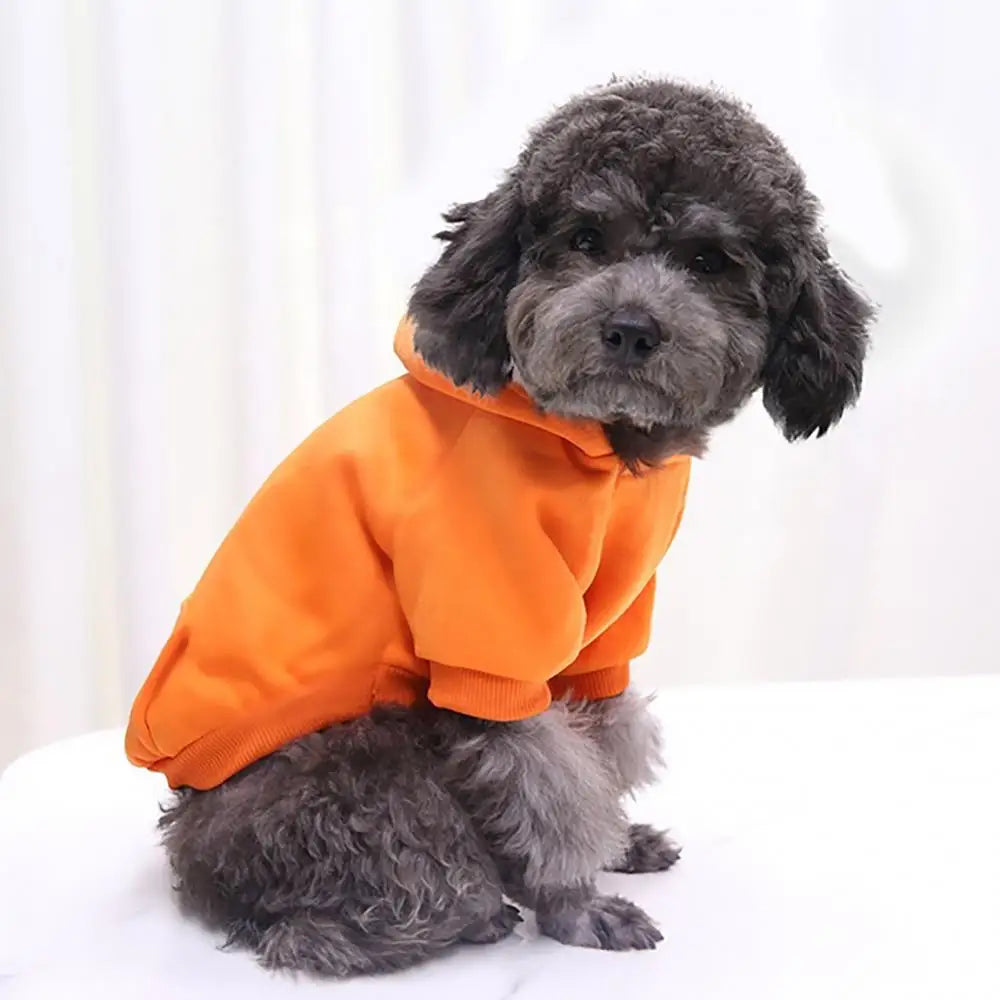 Hooded Pet Sweatshirt – Two-Legged Autumn/Winter Outfit for Cats & Small Dogs