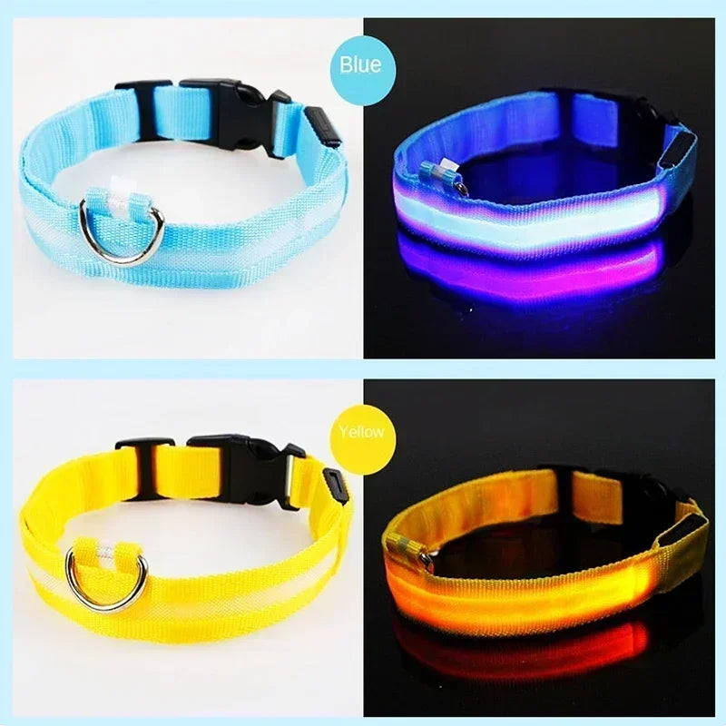 Rechargeable LED Dog Collar – Adjustable Night Safety Light for Small Dogs
