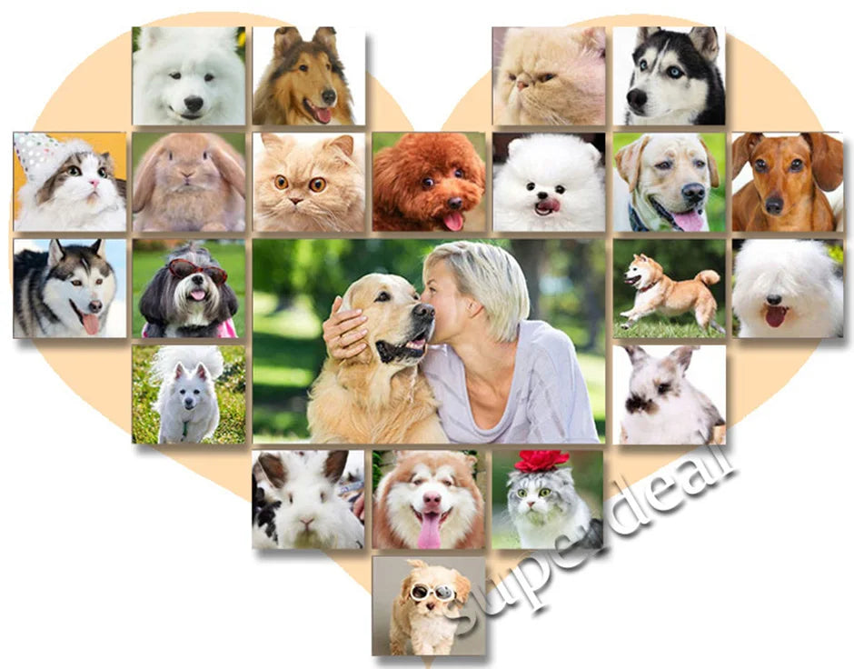 Professional Pet Hair Clipper – All-Metal Rechargeable Dog & Cat Grooming Trimmer