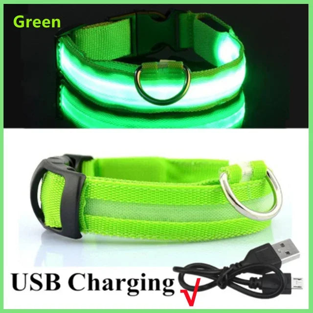 Rechargeable LED Dog Collar – Adjustable Night Safety Light for Small Dogs