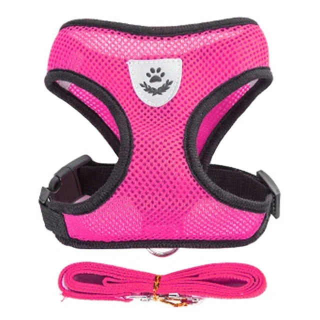 Adjustable Mesh Cat & Dog Harness Vest with Leash – For Small & Medium Pets