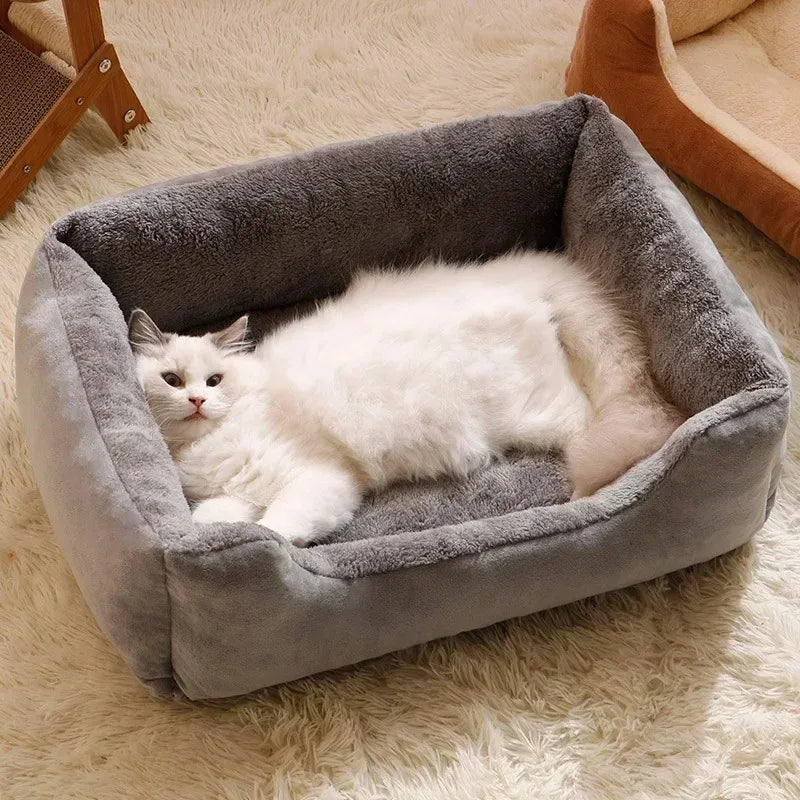 Pet Beds & Cushions for Cats and Dogs – Cozy Houses & Accessories