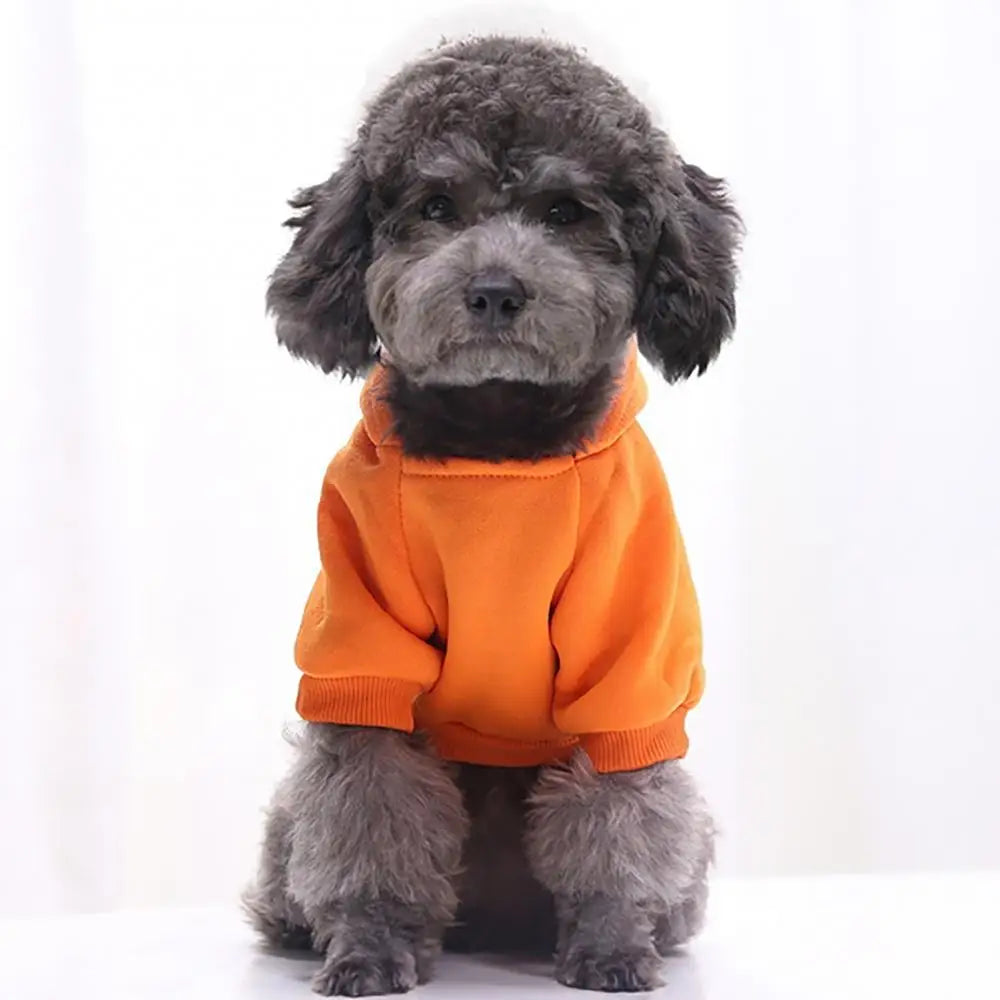 Hooded Pet Sweatshirt – Two-Legged Autumn/Winter Outfit for Cats & Small Dogs