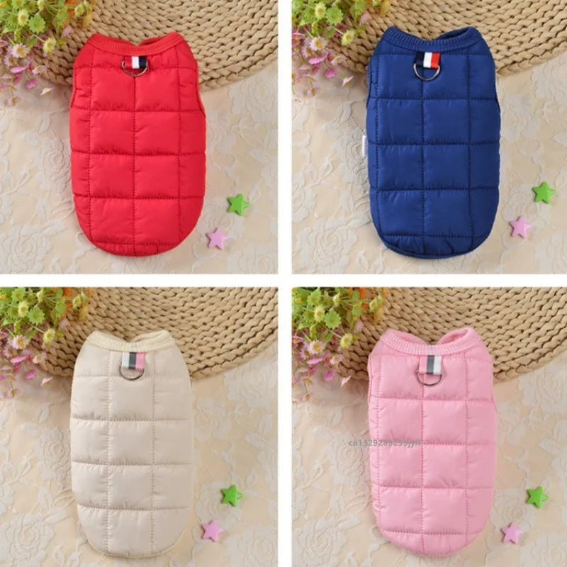 Winter Dog Coat – Windproof Padded for Small DogsJacket