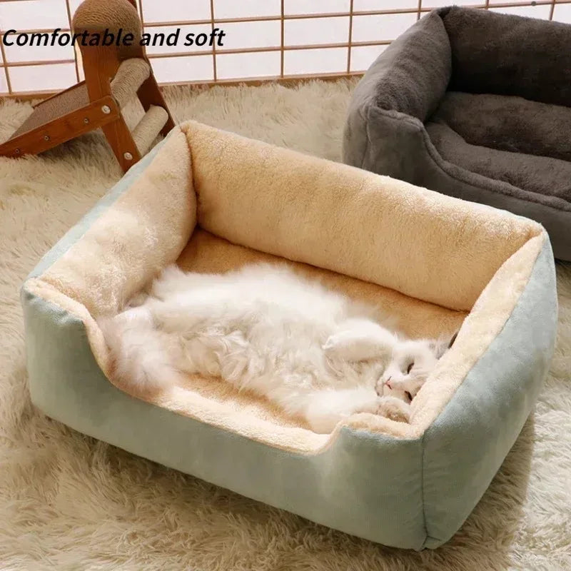 Pet Beds & Cushions for Cats and Dogs – Cozy Houses & Accessories