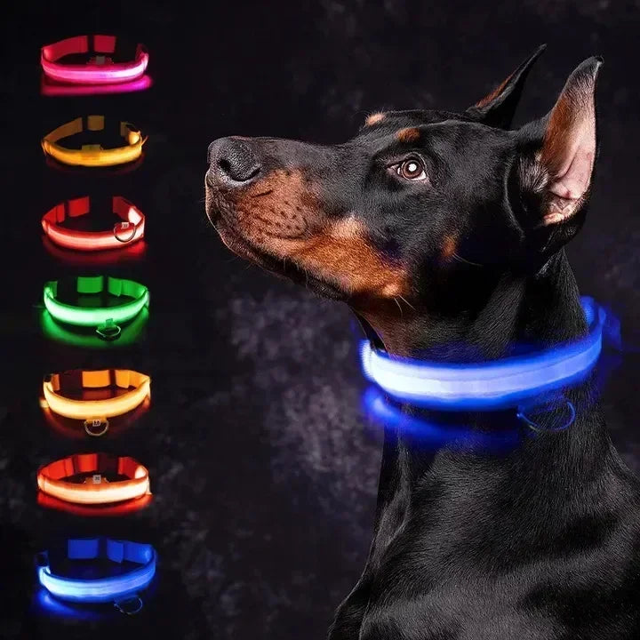 Rechargeable LED Dog Collar – Adjustable Night Safety Light for Small Dogs