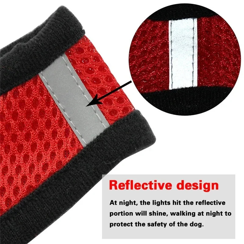 Adjustable Mesh Cat & Dog Harness Vest with Leash – For Small & Medium Pets