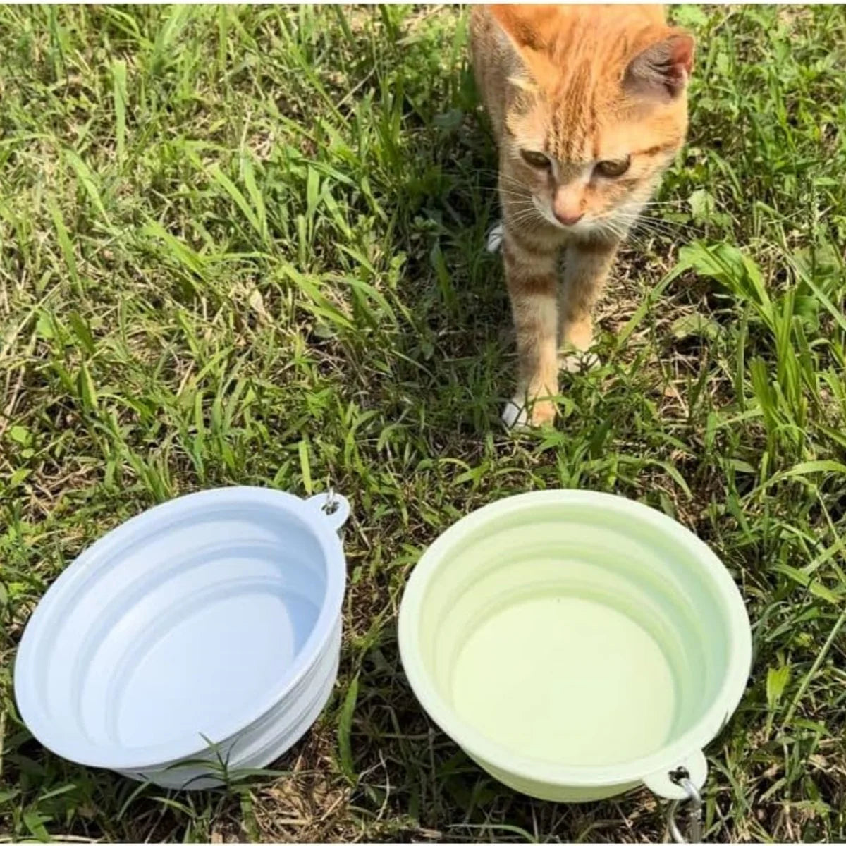 2pcs Collapsible Silicone Pet Bowls with Carabiner – Portable Dog Food & Water Bowls
