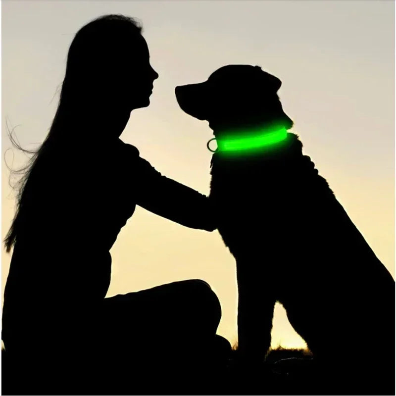Rechargeable LED Dog Collar – Adjustable Night Safety Light for Small Dogs