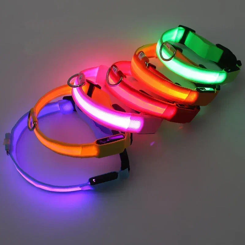 Rechargeable LED Dog Collar – Adjustable Night Safety Light for Small Dogs