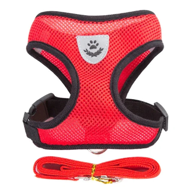 Adjustable Mesh Cat & Dog Harness Vest with Leash – For Small & Medium Pets