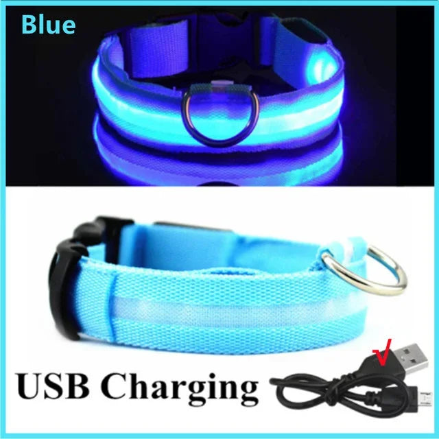 Rechargeable LED Dog Collar – Adjustable Night Safety Light for Small Dogs