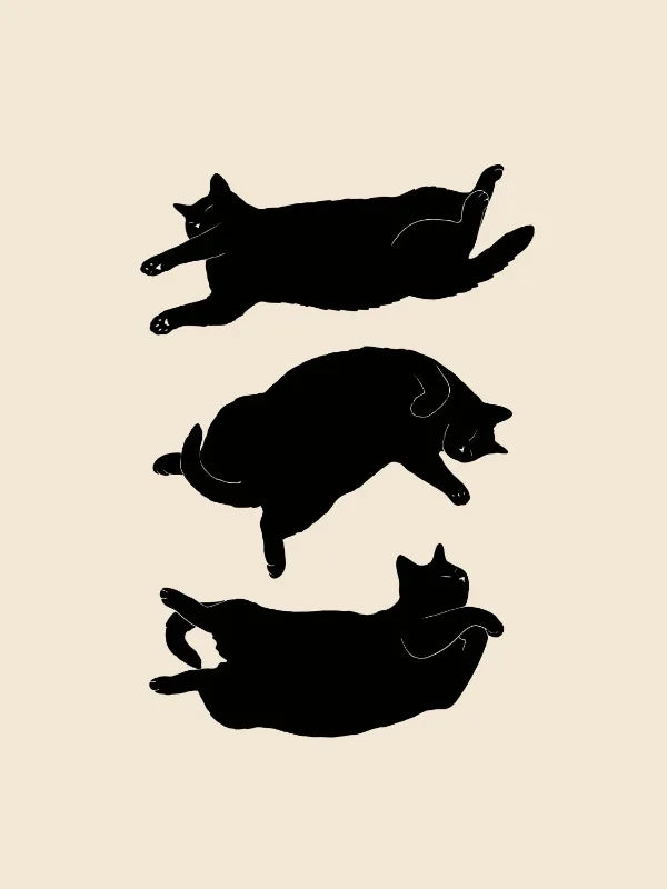 Funny Dumpling Cat Line Art Canvas – Nordic Wall Poster for Home Décor