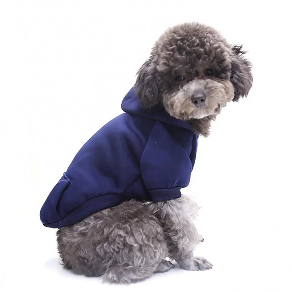 Hooded Pet Sweatshirt – Two-Legged Autumn/Winter Outfit for Cats & Small Dogs