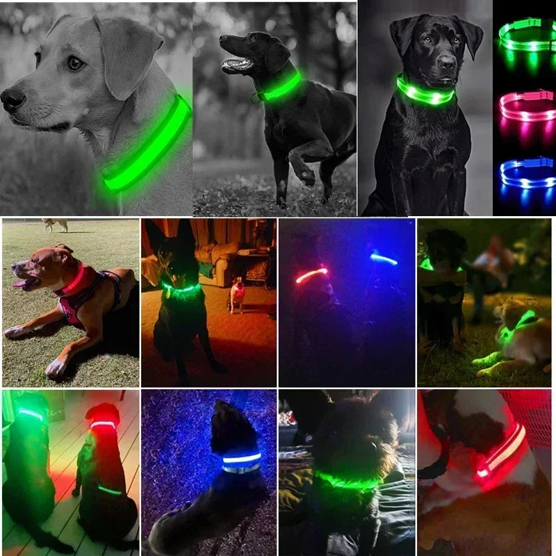 Rechargeable LED Dog Collar – Adjustable Night Safety Light for Small Dogs