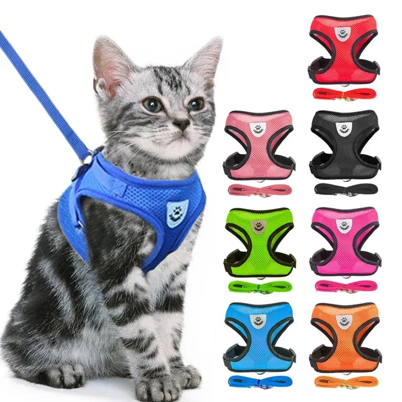 Adjustable Mesh Cat & Dog Harness Vest with Leash – For Small & Medium Pets