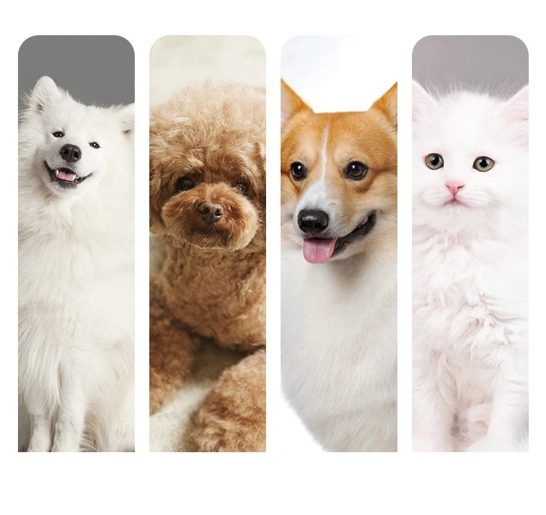 High-Power Smart Dog Clippers – Rechargeable Pet Grooming Trimmer with Detachable Blade