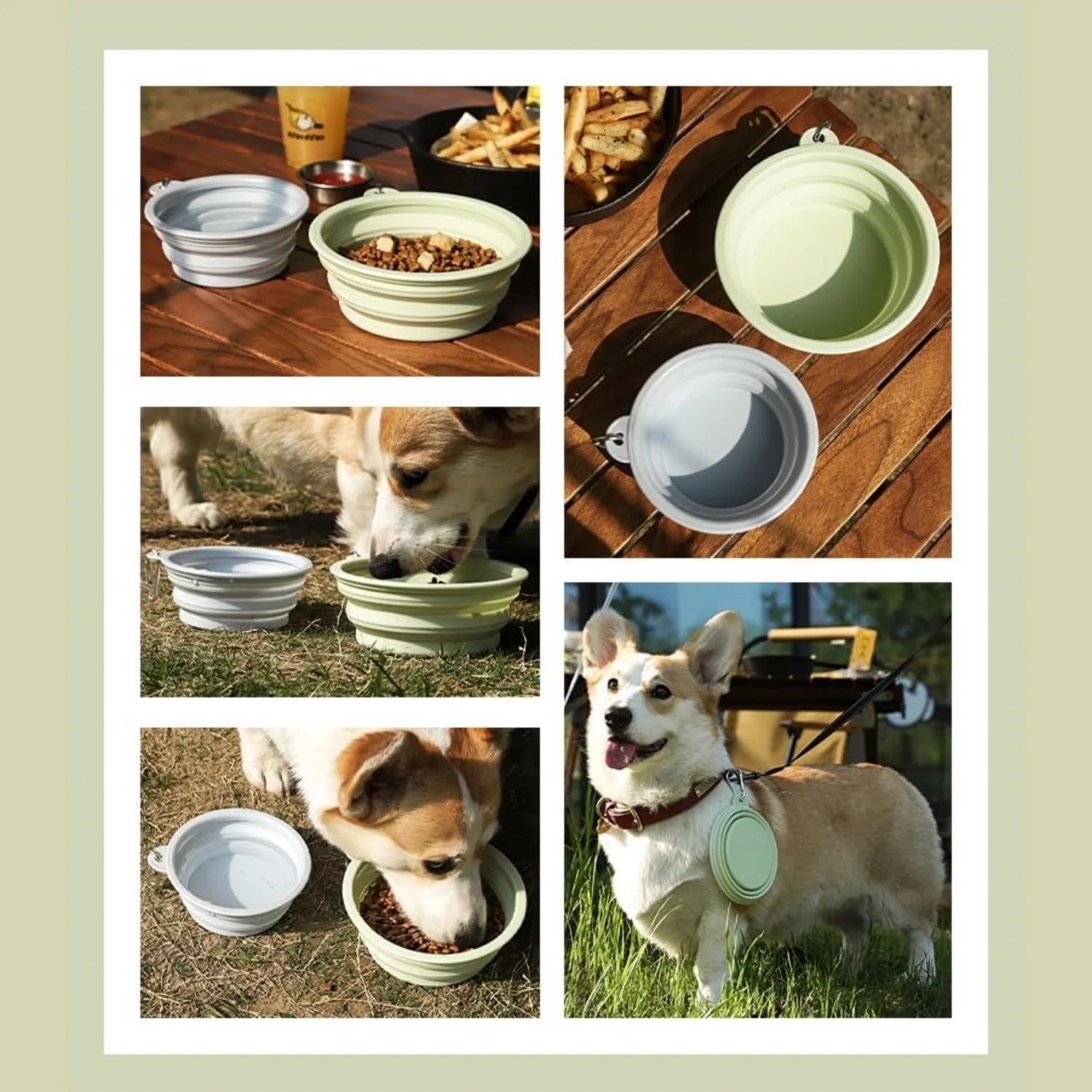 2pcs Collapsible Silicone Pet Bowls with Carabiner – Portable Dog Food & Water Bowls