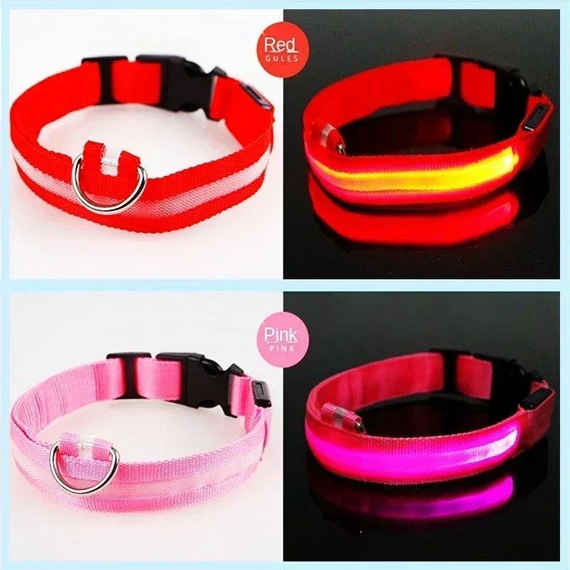 Rechargeable LED Dog Collar – Adjustable Night Safety Light for Small Dogs