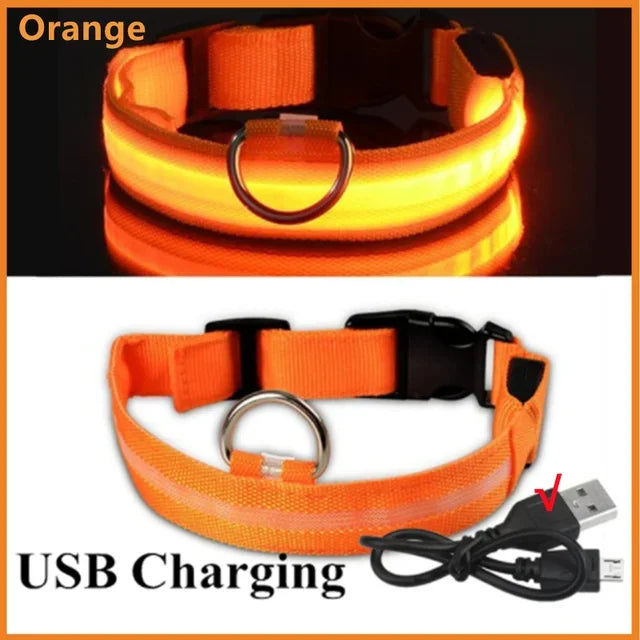 Rechargeable LED Dog Collar – Adjustable Night Safety Light for Small Dogs