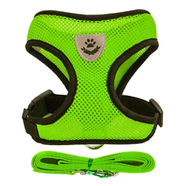 Adjustable Mesh Cat & Dog Harness Vest with Leash – For Small & Medium Pets