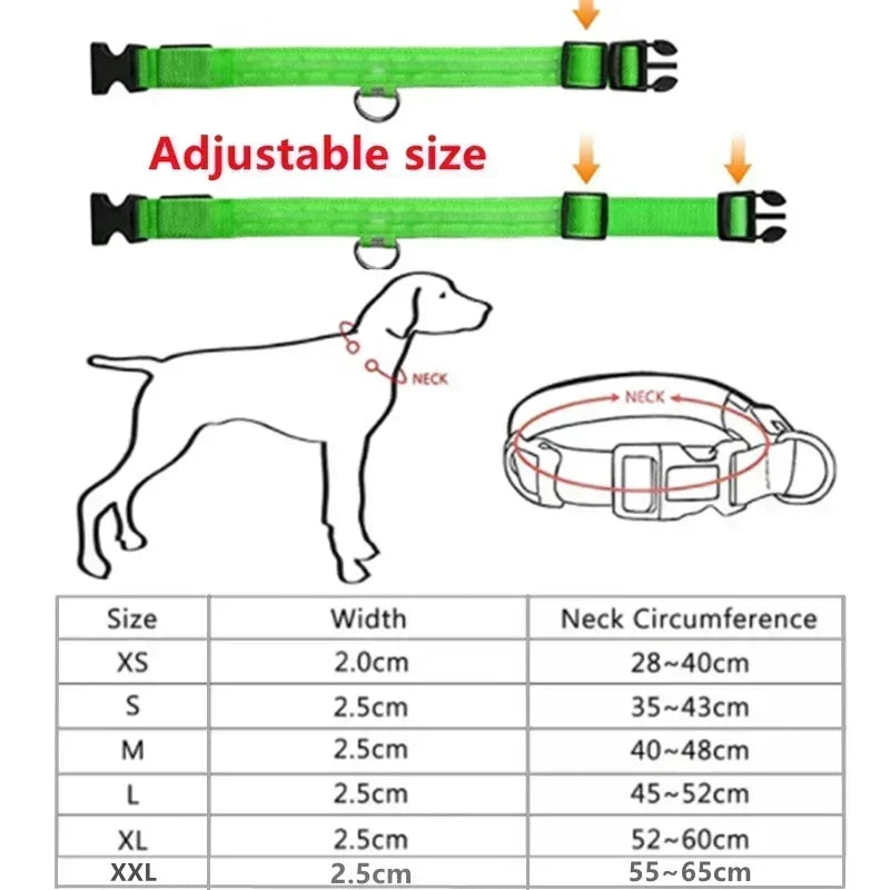 Rechargeable LED Dog Collar – Adjustable Night Safety Light for Small Dogs