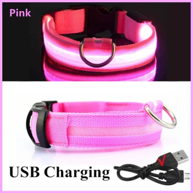 Rechargeable LED Dog Collar – Adjustable Night Safety Light for Small Dogs