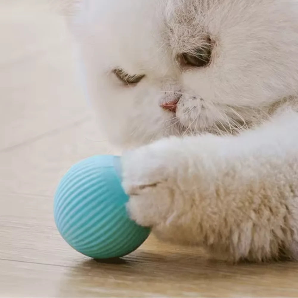 Electronic Rolling Magic Cat Ball