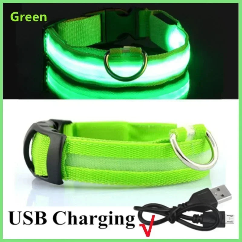 Rechargeable LED Dog Collar – Adjustable Night Safety Light for Small Dogs