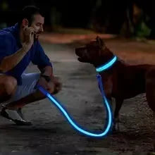 Rechargeable LED Dog Collar – Adjustable Night Safety Light for Small Dogs