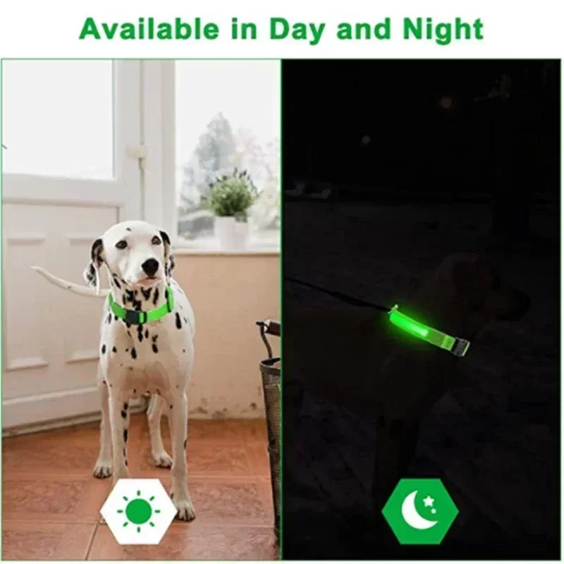 Rechargeable LED Dog Collar – Adjustable Night Safety Light for Small Dogs