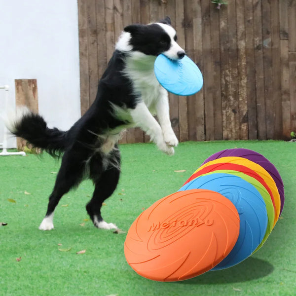 OUZEY Bite-Resistant Dog Flying Disc – Outdoor Interactive Training Toy