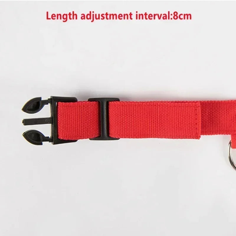 Rechargeable LED Dog Collar – Adjustable Night Safety Light for Small Dogs