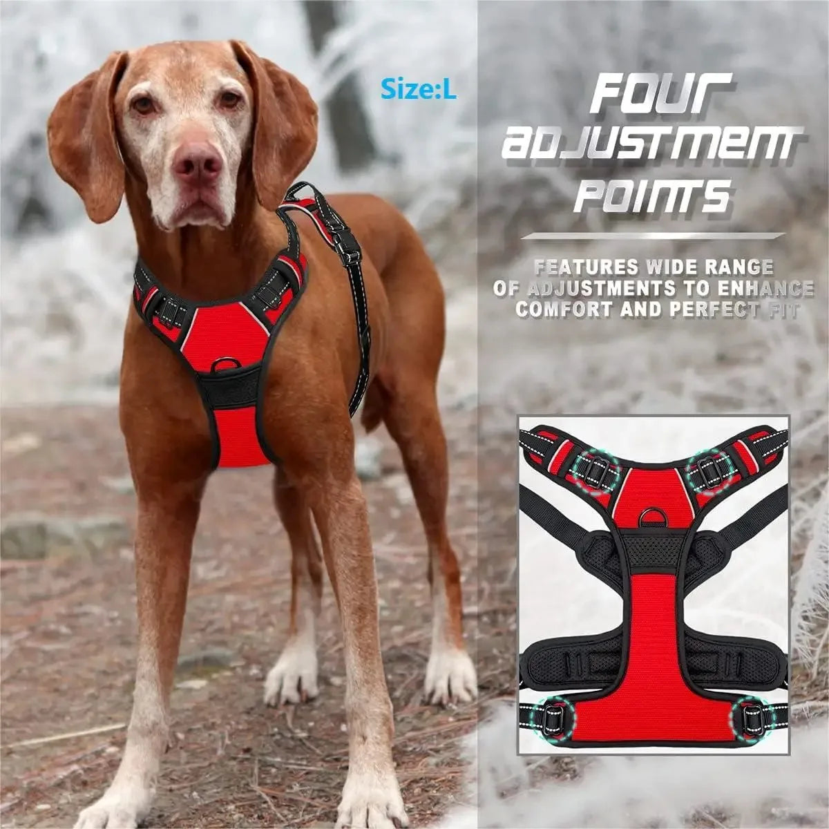 Dog Collar & Harness Leash Set – Leather Pet Vest for Small & Medium Dogs