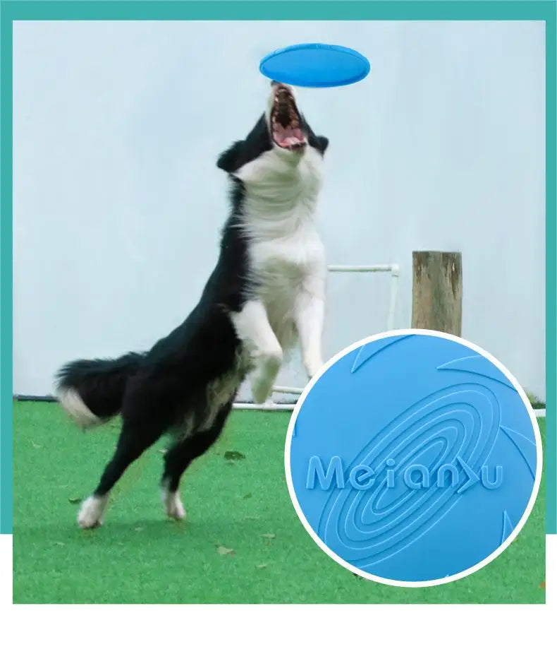 OUZEY Bite-Resistant Dog Flying Disc – Outdoor Interactive Training Toy