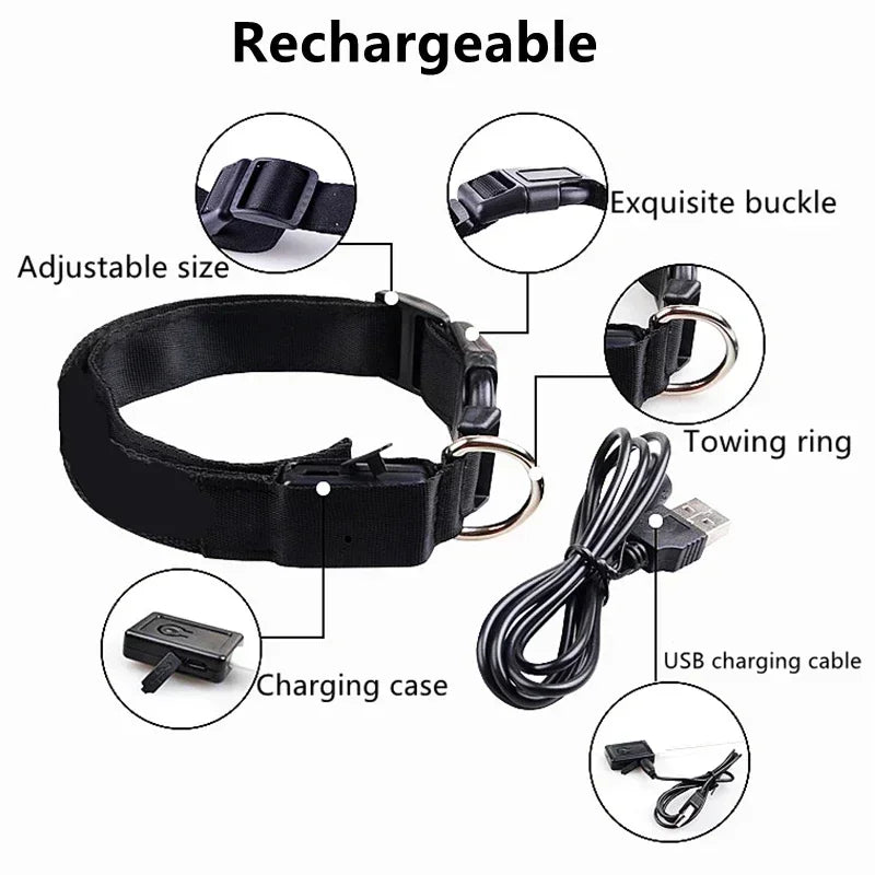 Rechargeable LED Dog Collar – Adjustable Night Safety Light for Small Dogs